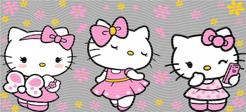 16oz Sanrio-K 29